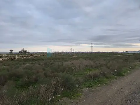 Satılır torpaq sahəsi — Bakı