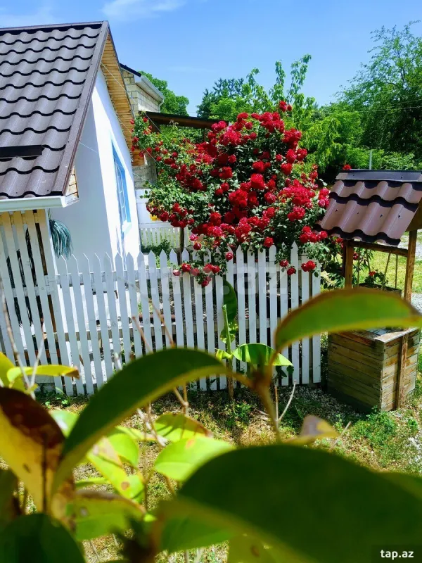 Kirayə verilir 2 otaqlı həyət evi 29 m²