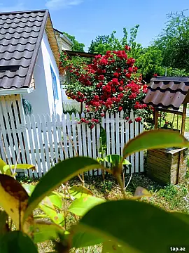 Kirayə verilir 2 otaqlı həyət evi 29 m²