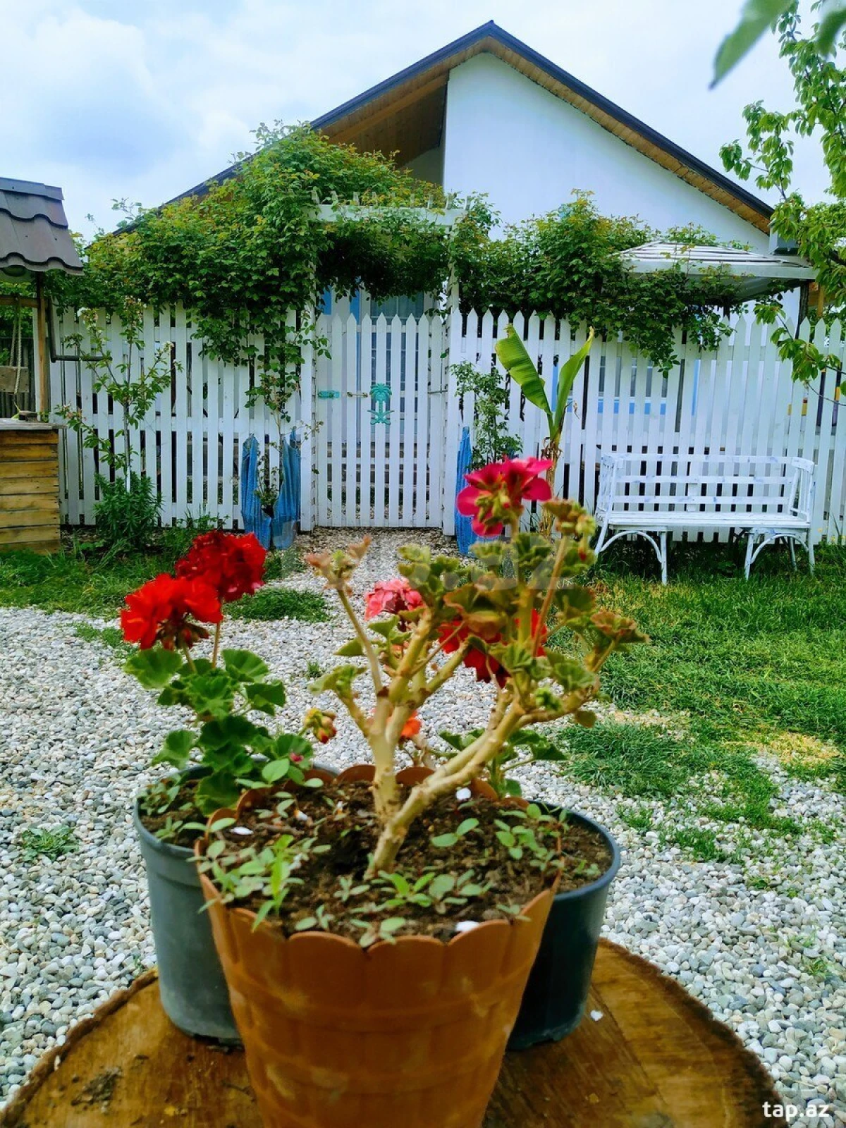 Kirayə verilir 2 otaqlı həyət evi 29 m²