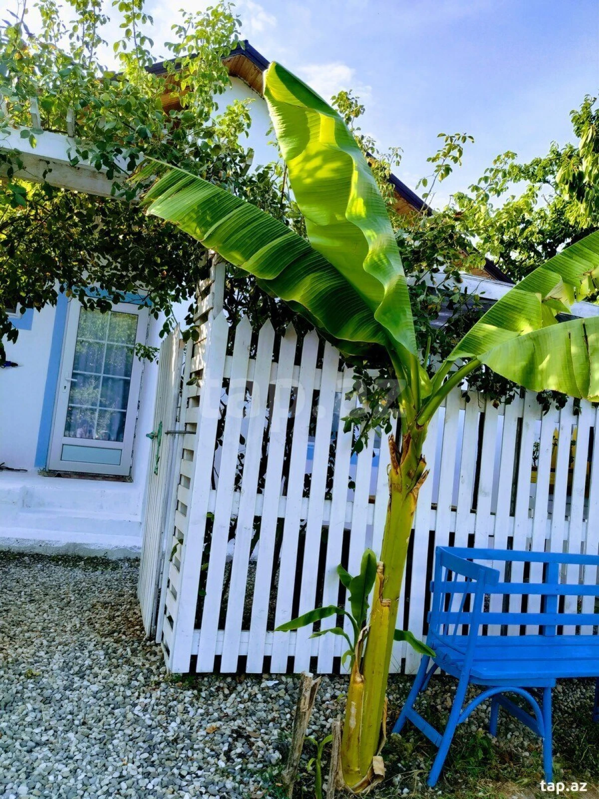 Kirayə verilir 2 otaqlı həyət evi 29 m²