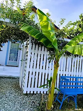 Kirayə verilir 2 otaqlı həyət evi 29 m²