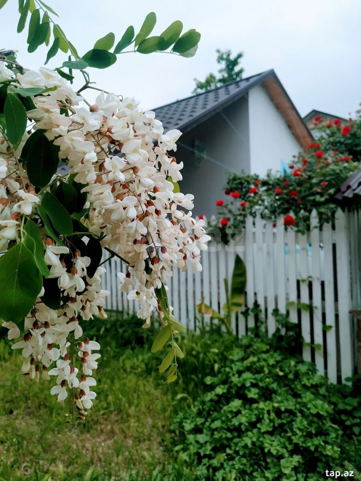 Kirayə verilir 2 otaqlı həyət evi 29 m²