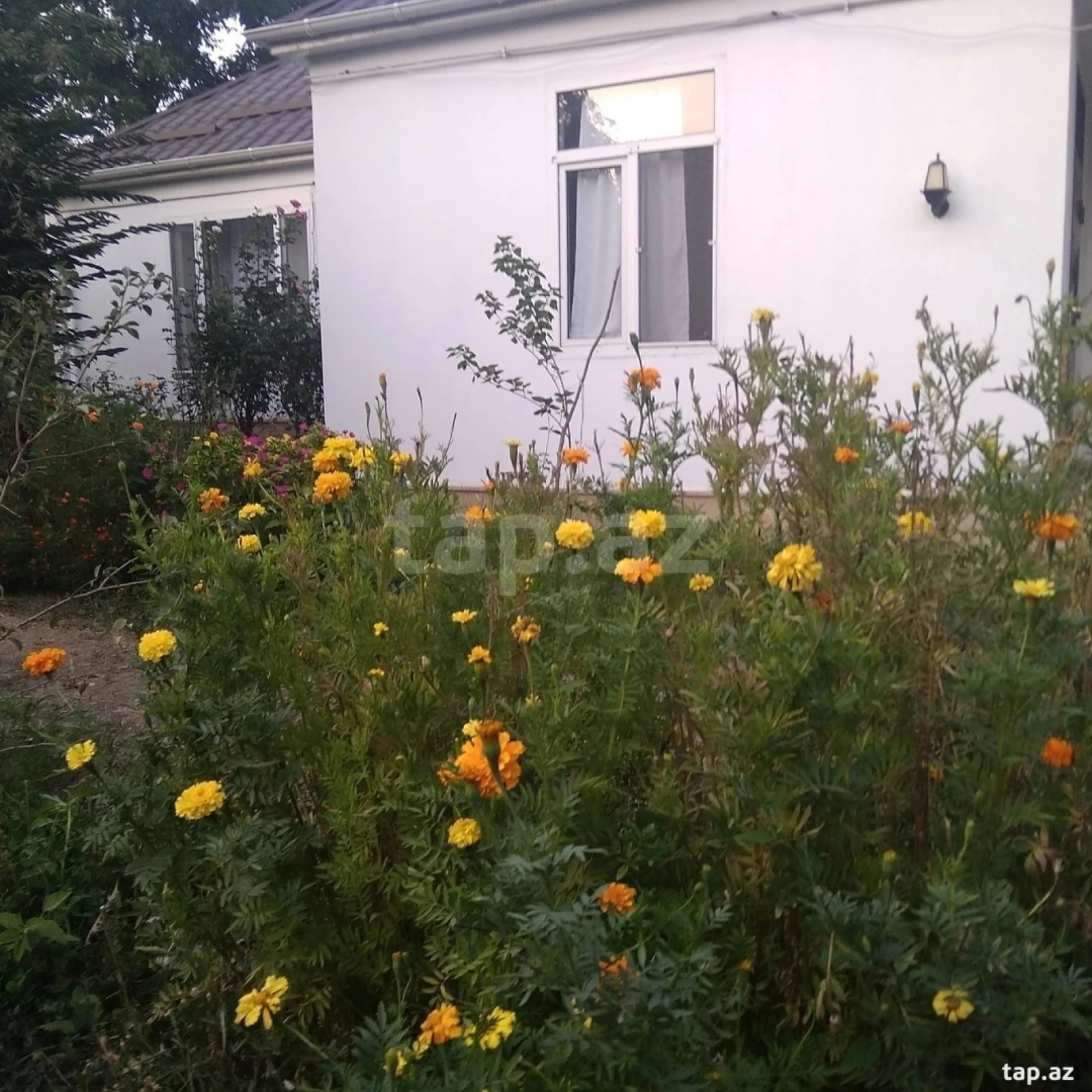 Kirayə verilir 3 otaqlı həyət evi