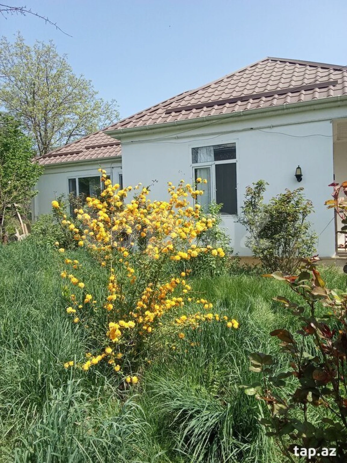 Kirayə verilir 3 otaqlı həyət evi