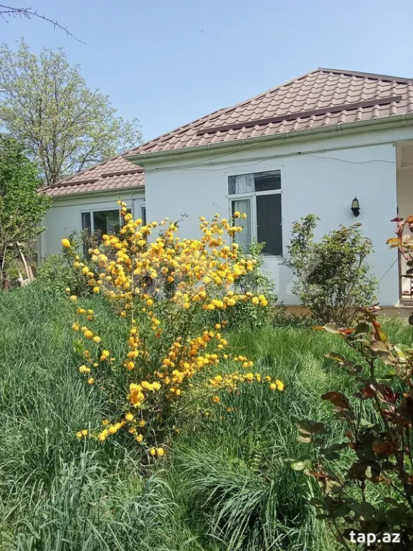 Kirayə verilir 3 otaqlı həyət evi