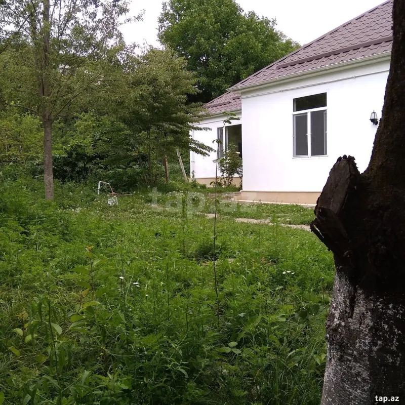 Kirayə verilir 3 otaqlı həyət evi