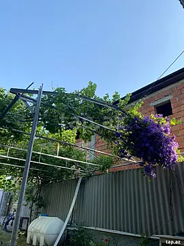 Kirayə verilir 3 otaqlı həyət evi 50 m² — Zaqatala 3 otaq 50.00 m²