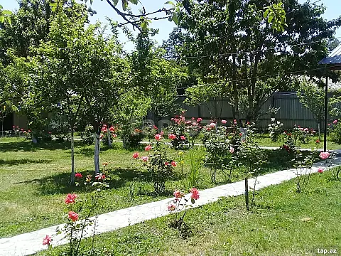 Kirayə verilir 4 otaqlı həyət evi