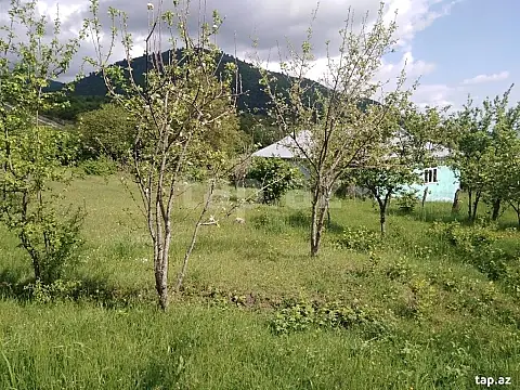 Satılır torpaq sahəsi — İsmayıllı