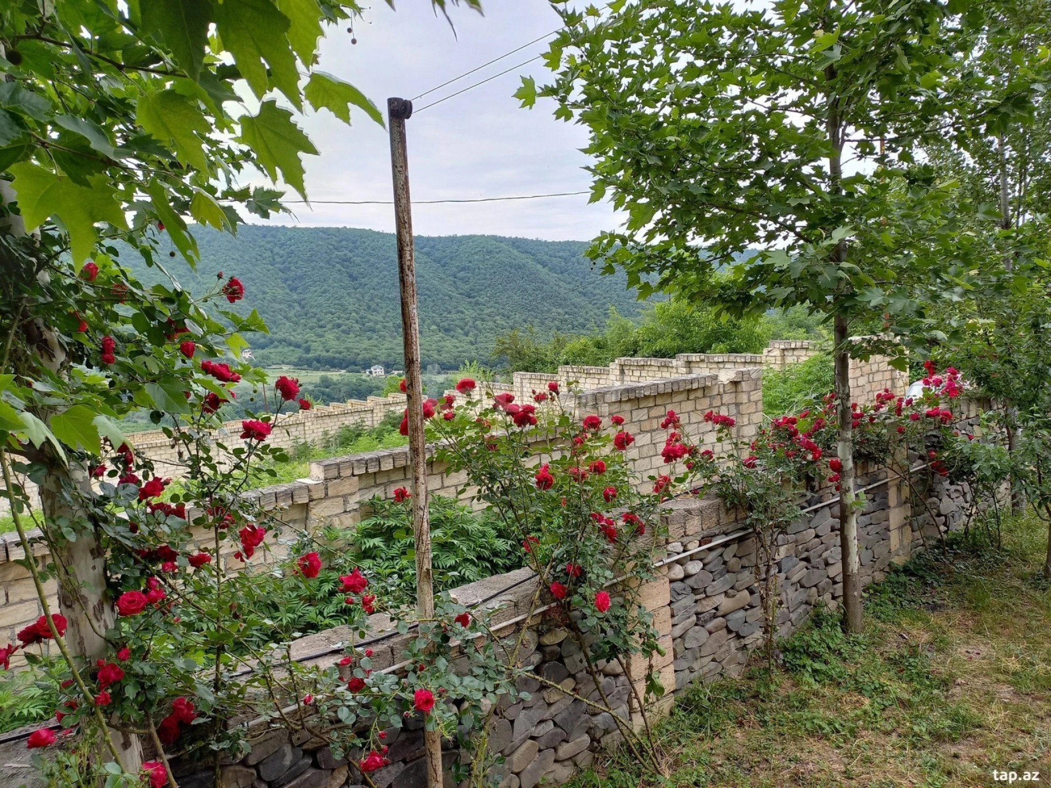 Kirayə verilir 3 otaqlı həyət evi