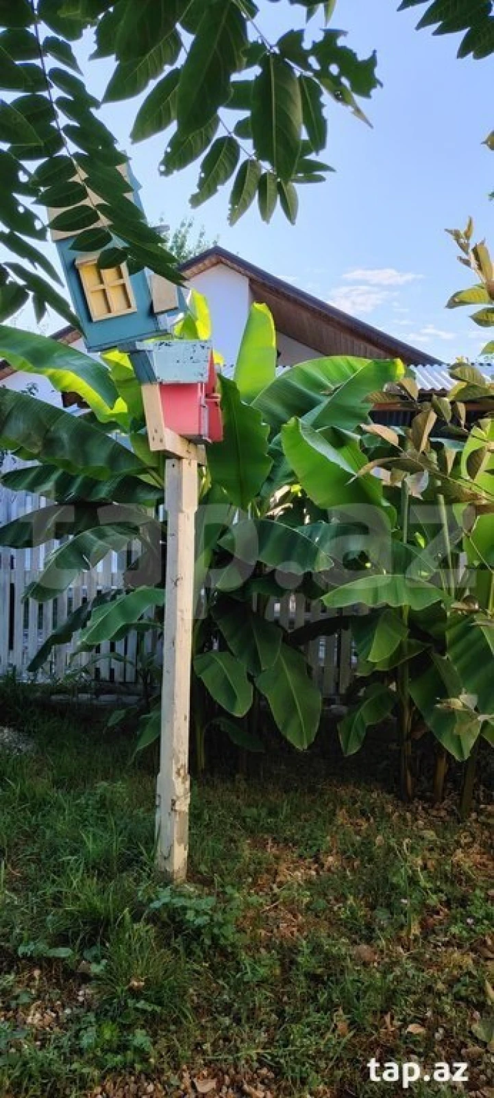 Kirayə verilir 2 otaqlı həyət evi