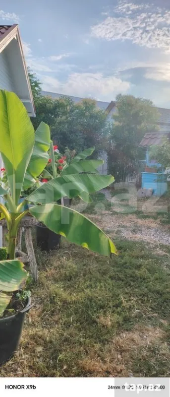 Kirayə verilir 2 otaqlı həyət evi