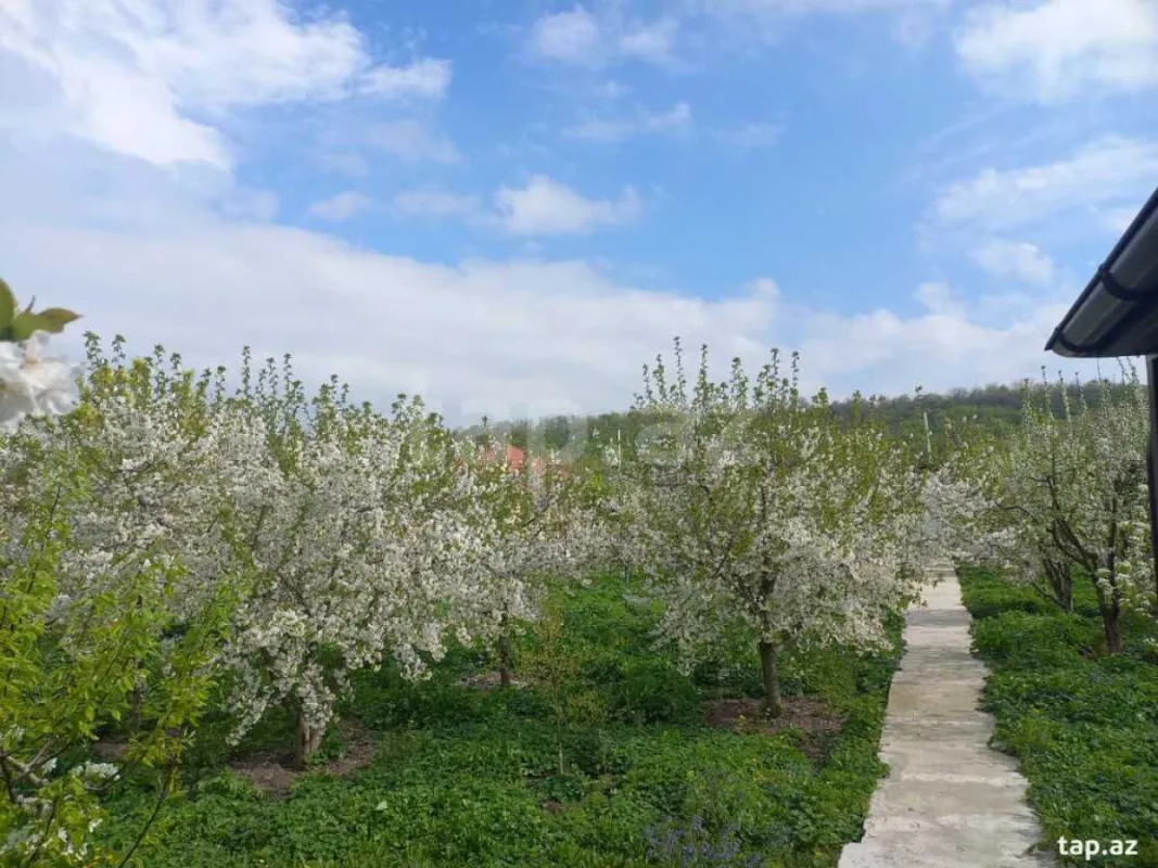 Kirayə verilir 2 otaqlı həyət evi