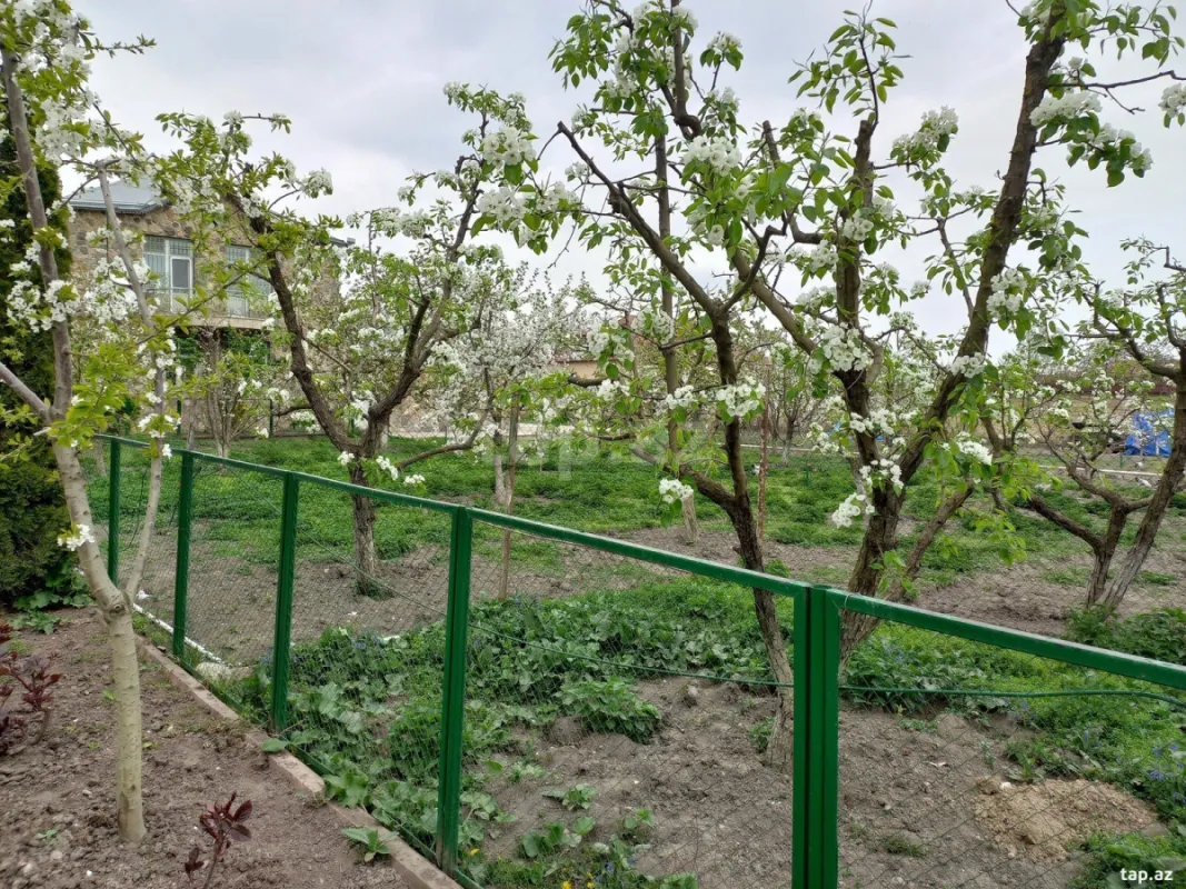 Kirayə verilir 2 otaqlı həyət evi