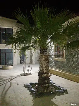 Kirayə verilir 4 otaqlı həyət evi