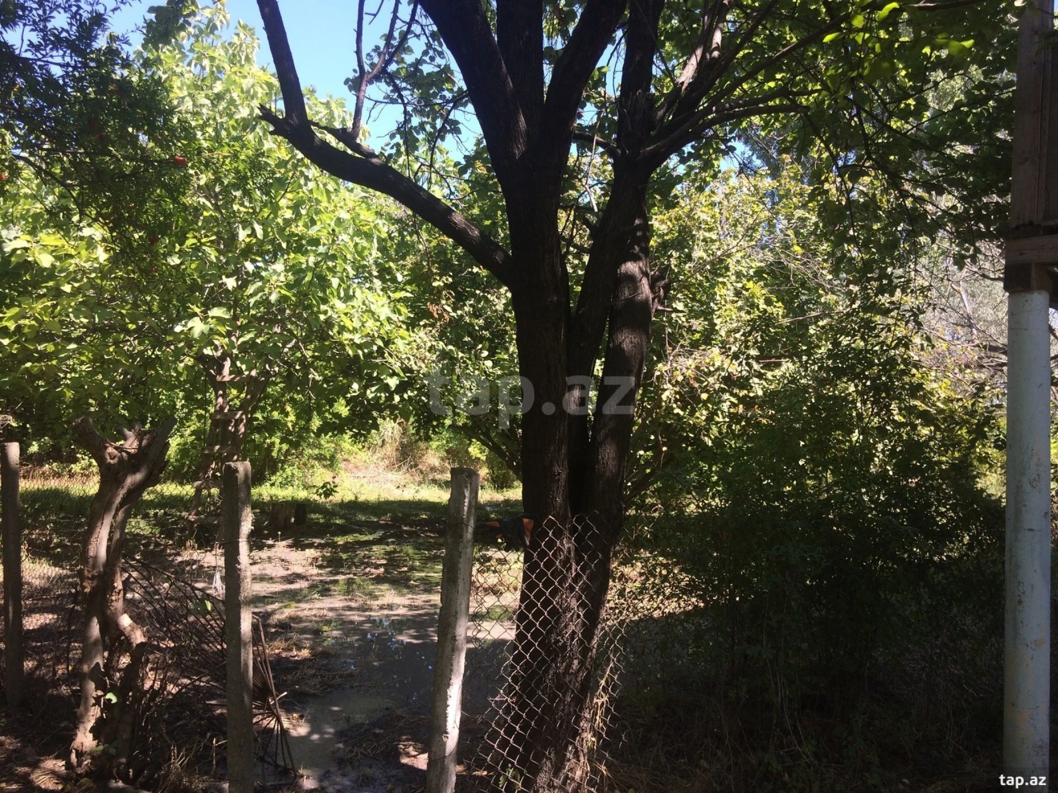 Satılır 4 otaqlı həyət evi