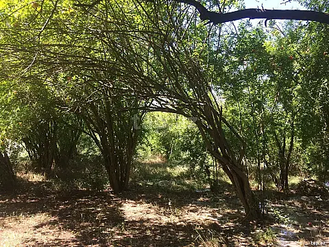 Satılır 4 otaqlı həyət evi — Ağdaş 4 otaq