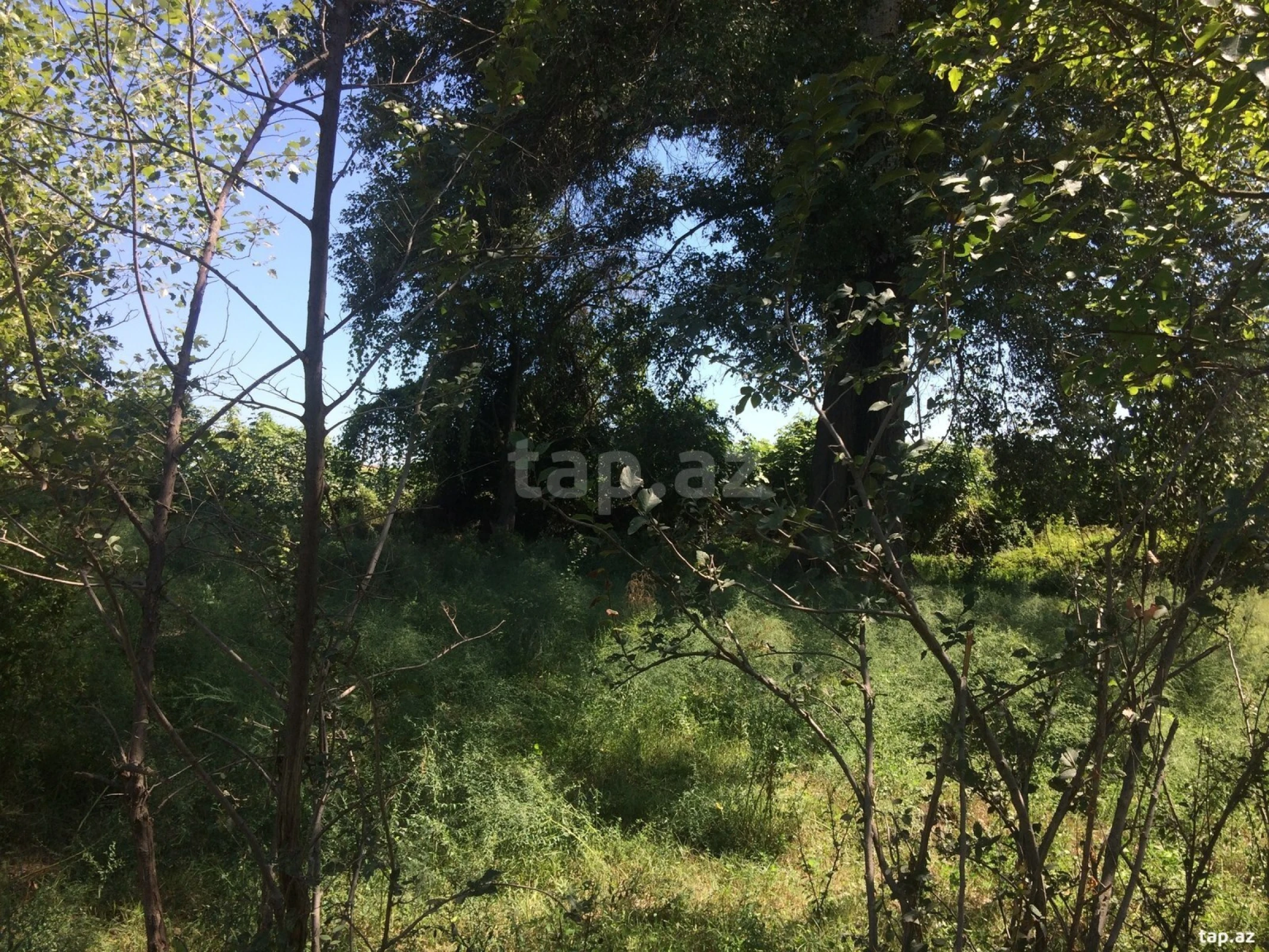 Satılır 4 otaqlı həyət evi