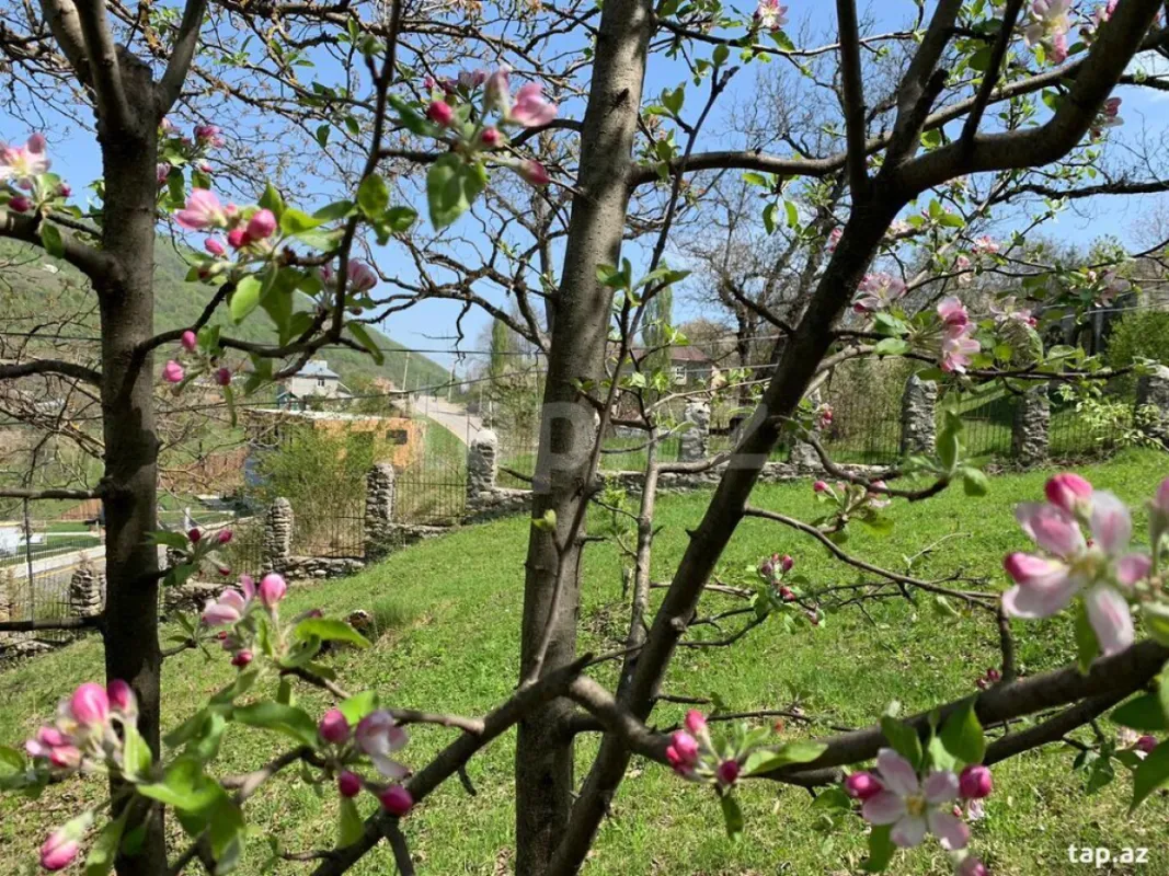 Kirayə verilir 2 otaqlı həyət evi