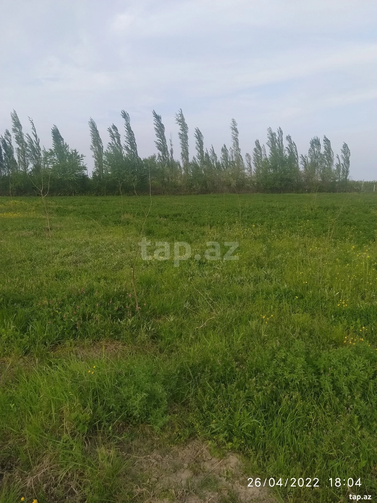 Satılır torpaq sahəsi