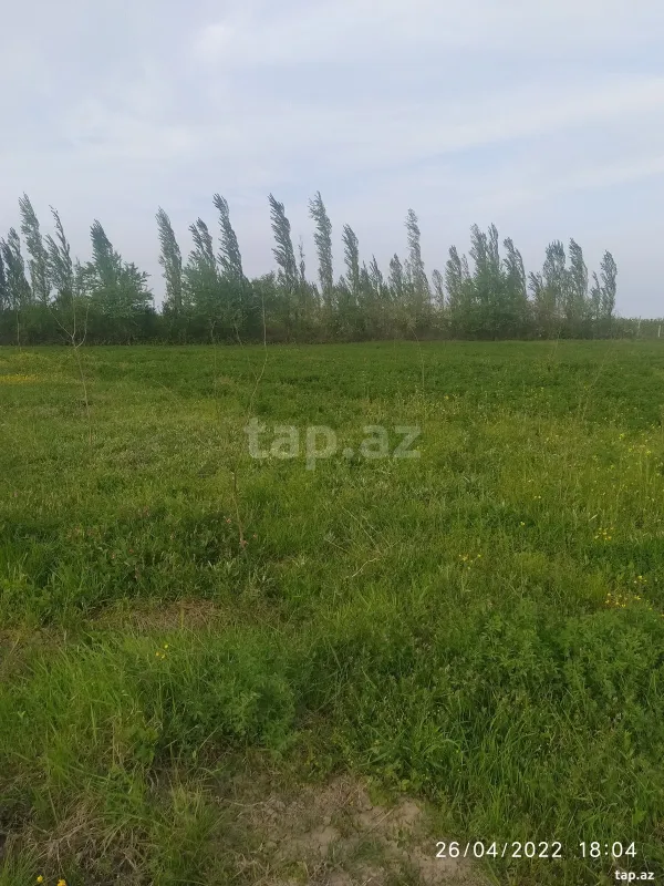 Satılır torpaq sahəsi