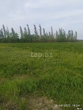 Satılır torpaq sahəsi — Qusar