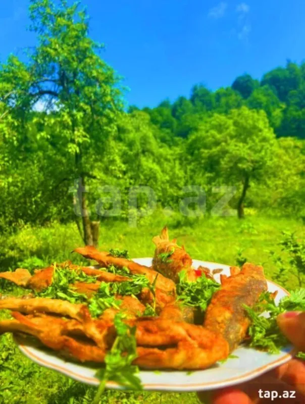 Kirayə verilir 4 otaqlı həyət evi 60 m²