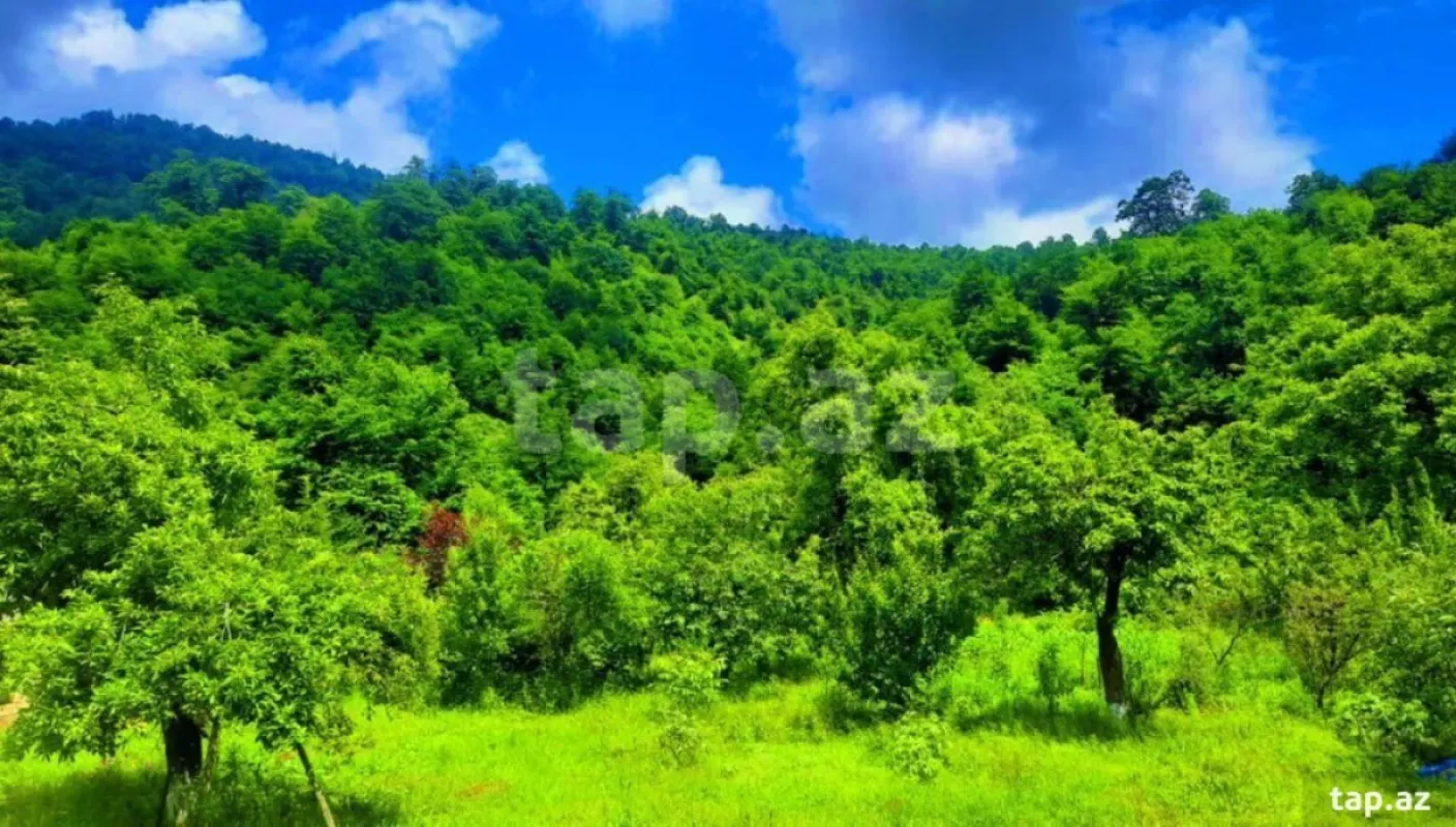 Kirayə verilir 4 otaqlı həyət evi 60 m²