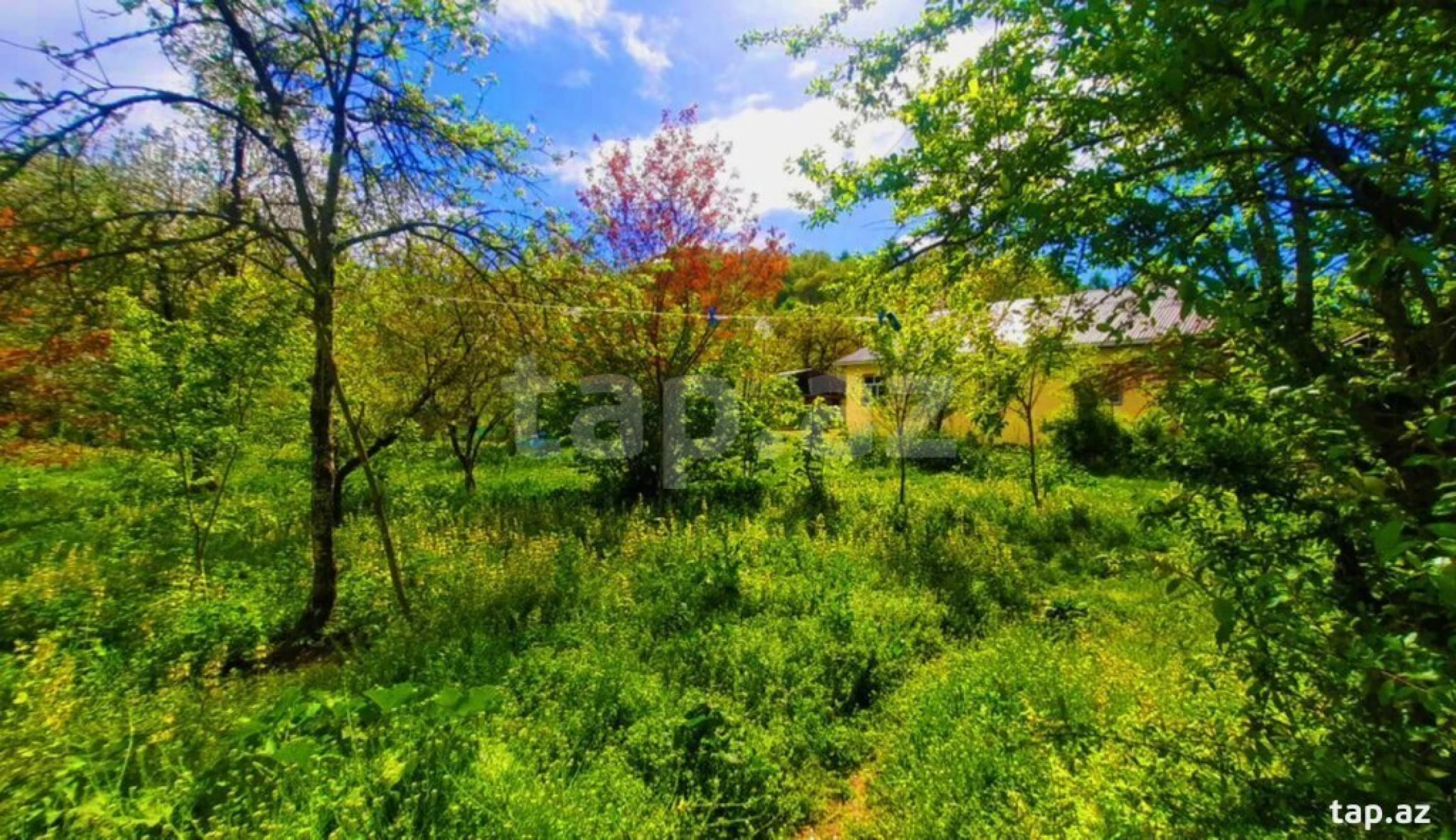 Kirayə verilir 4 otaqlı həyət evi 60 m²