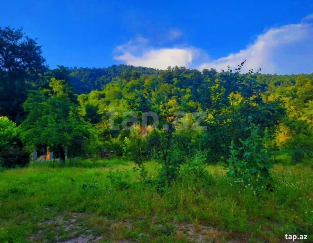 Kirayə verilir 4 otaqlı həyət evi 60 m²