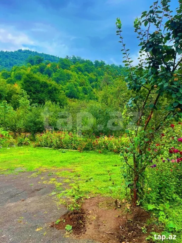 Kirayə verilir 4 otaqlı həyət evi 60 m²