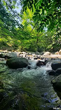 Kirayə verilir 4 otaqlı həyət evi 60 m²