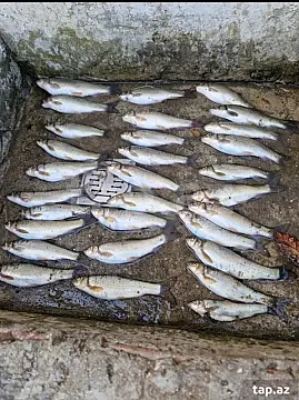 Kirayə verilir 4 otaqlı həyət evi 60 m²