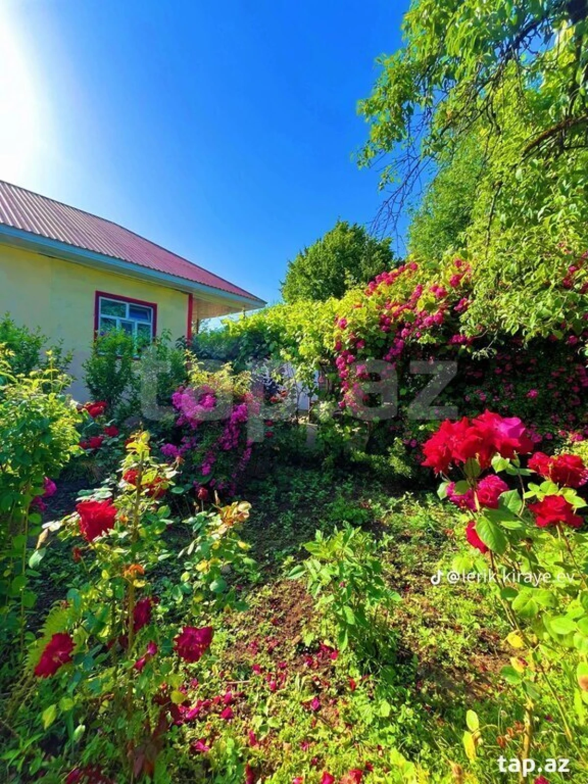 Kirayə verilir 4 otaqlı həyət evi 60 m²