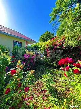 Kirayə verilir 4 otaqlı həyət evi 60 m²