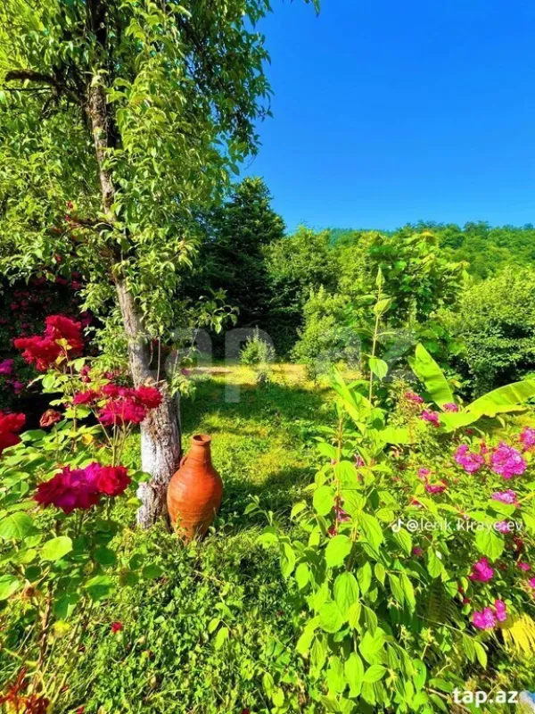 Kirayə verilir 4 otaqlı həyət evi 60 m²