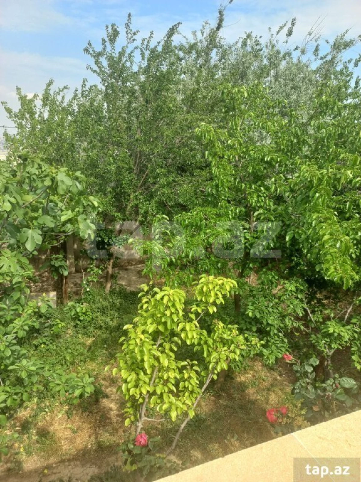 Satılır 3 otaqlı həyət evi