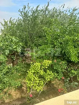Satılır 3 otaqlı həyət evi