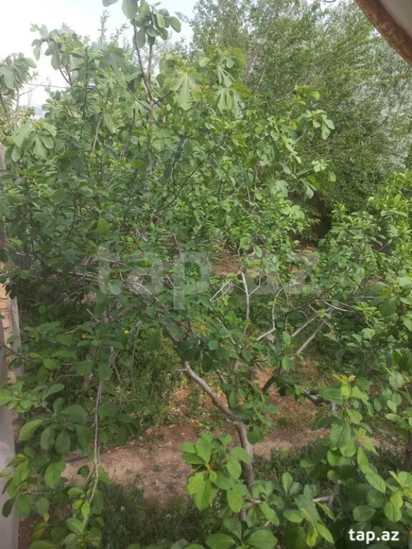 Satılır 3 otaqlı həyət evi