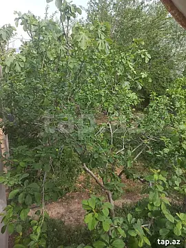 Satılır 3 otaqlı həyət evi