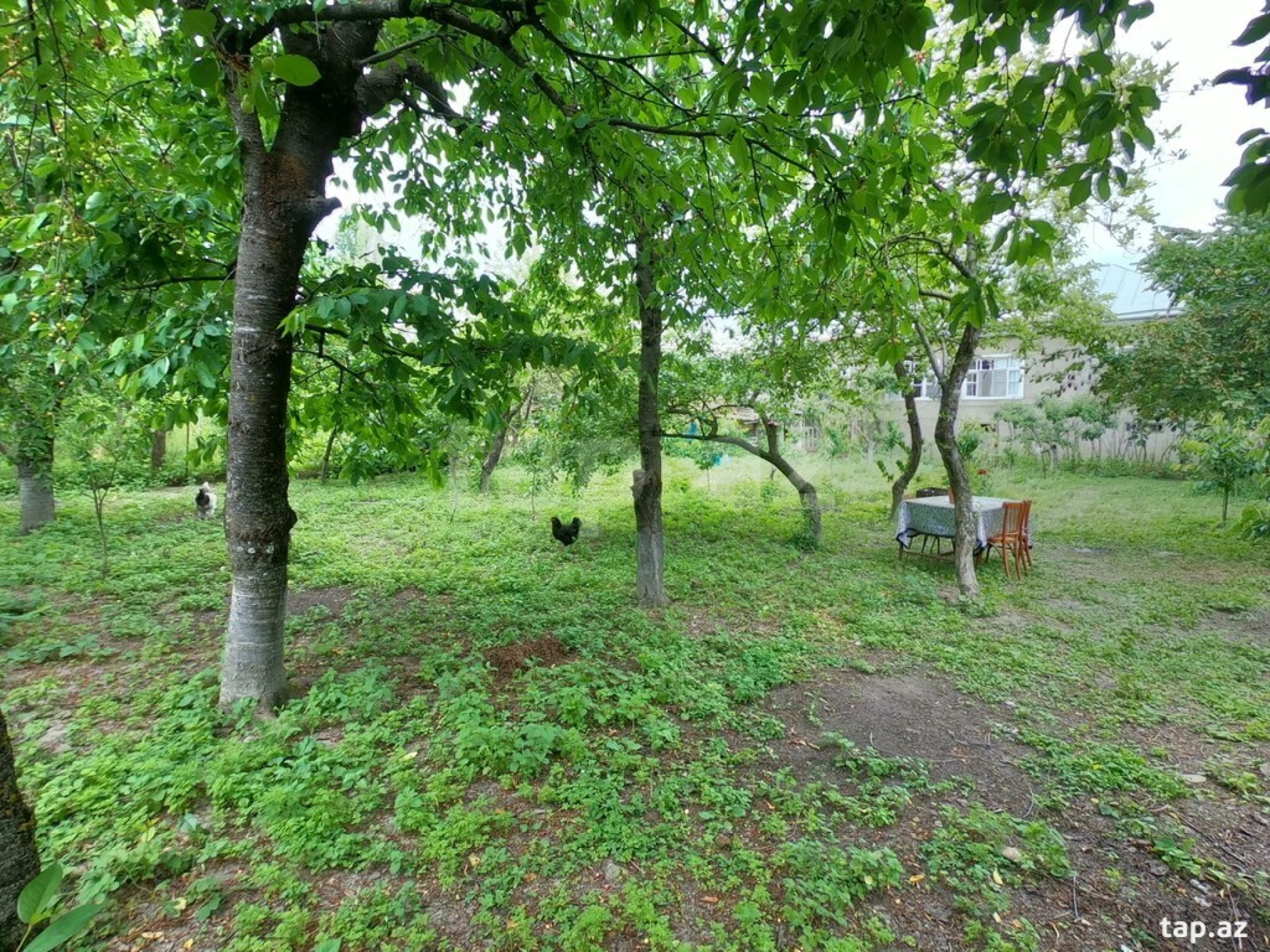 Kirayə verilir 3 otaqlı həyət evi