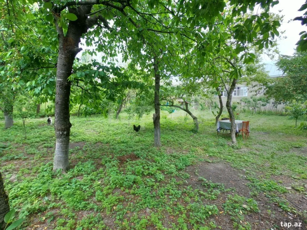 Kirayə verilir 3 otaqlı həyət evi