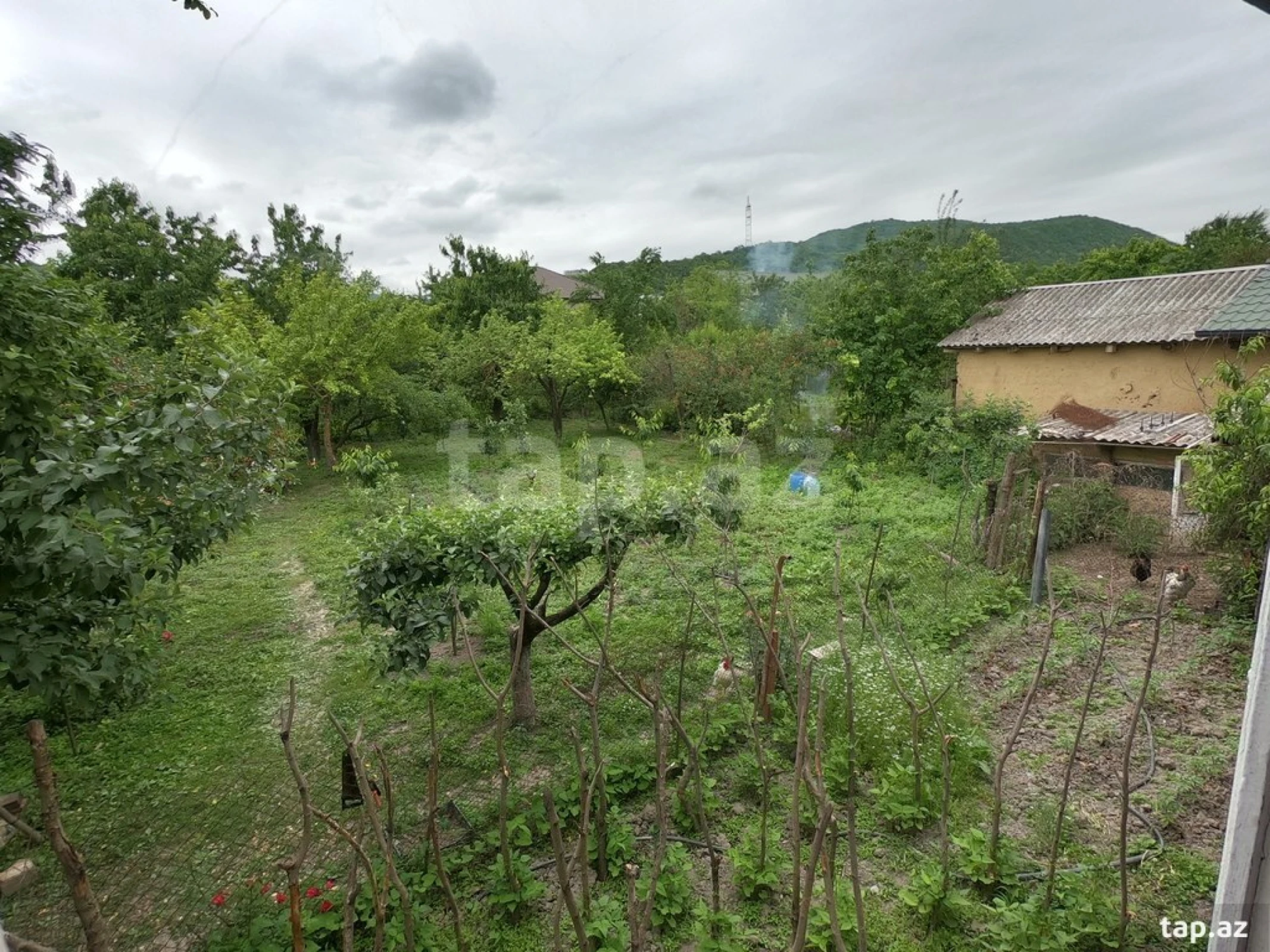 Kirayə verilir 3 otaqlı həyət evi