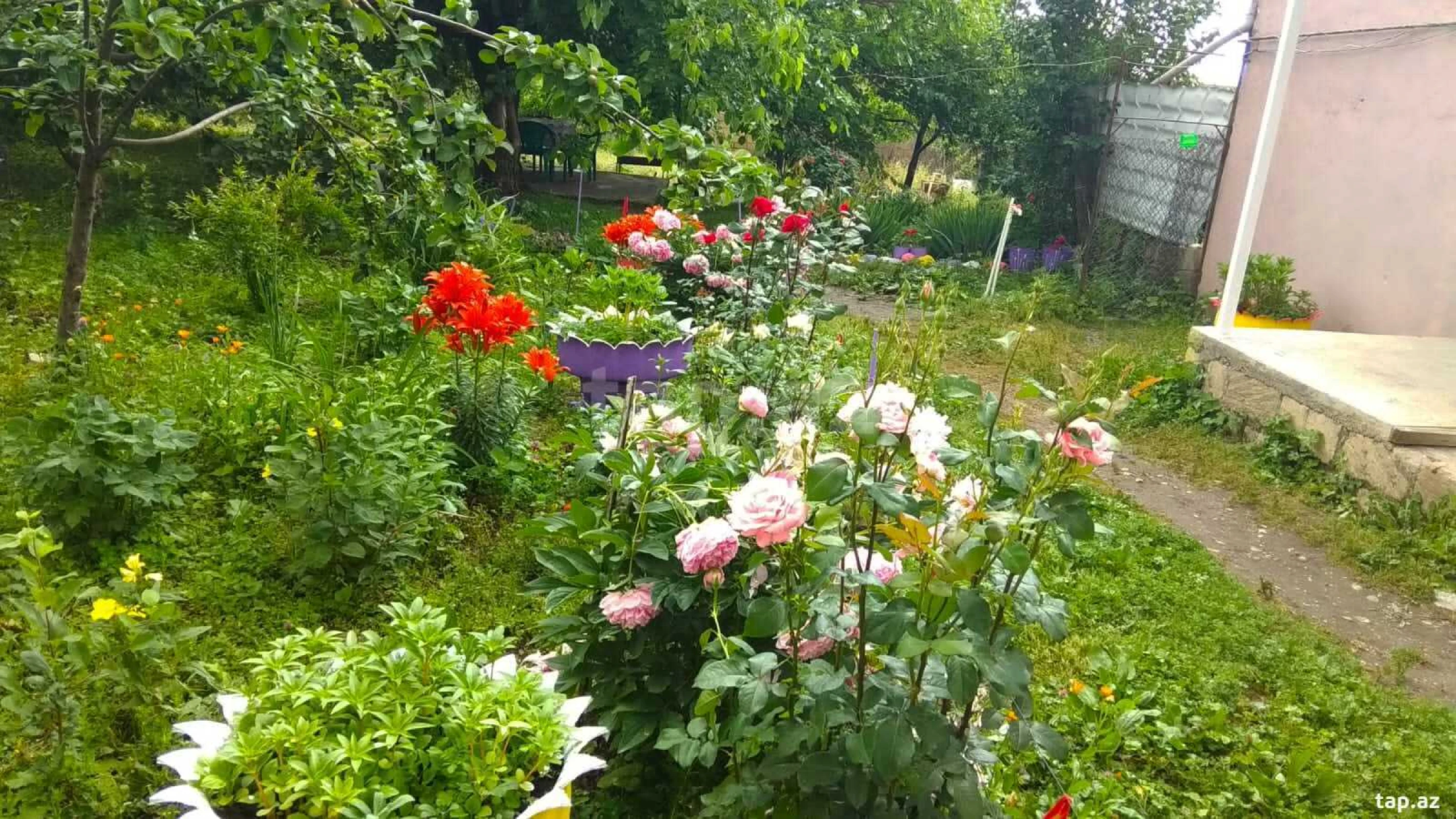 Kirayə verilir 4 otaqlı həyət evi