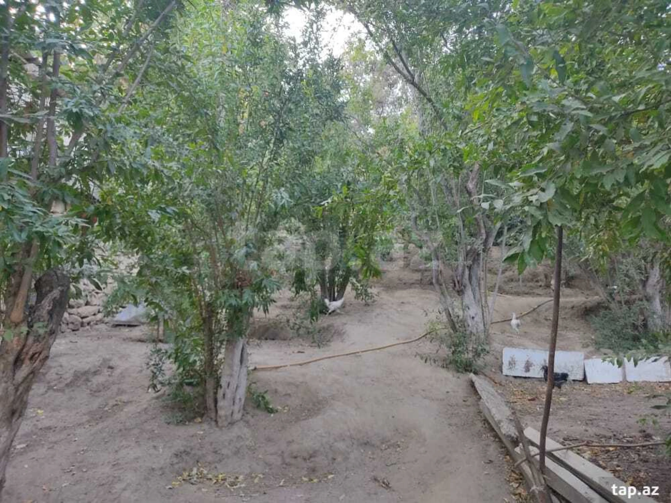 Satılır 5 otaqlı həyət evi 120 m²