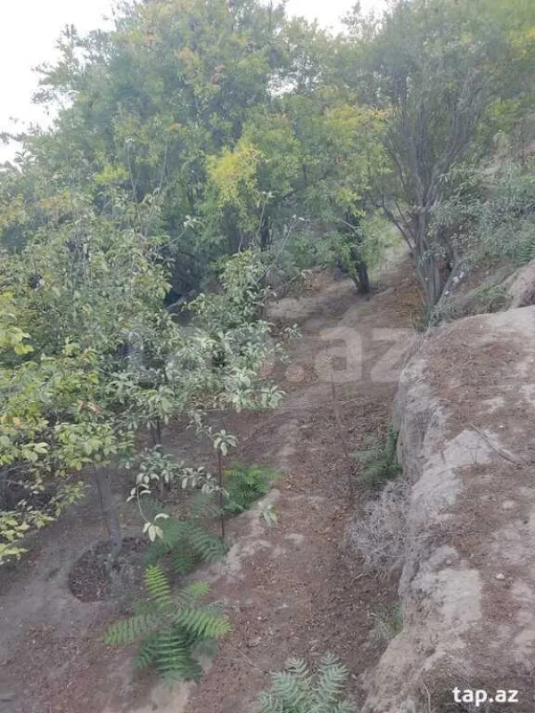 Satılır 5 otaqlı həyət evi 120 m²