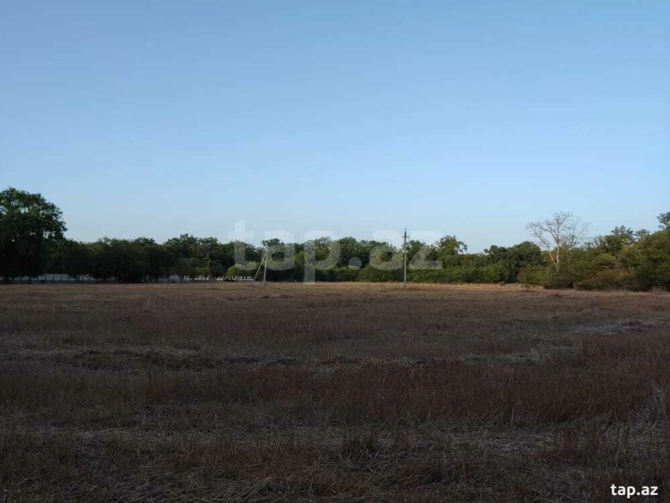 Satılır torpaq sahəsi