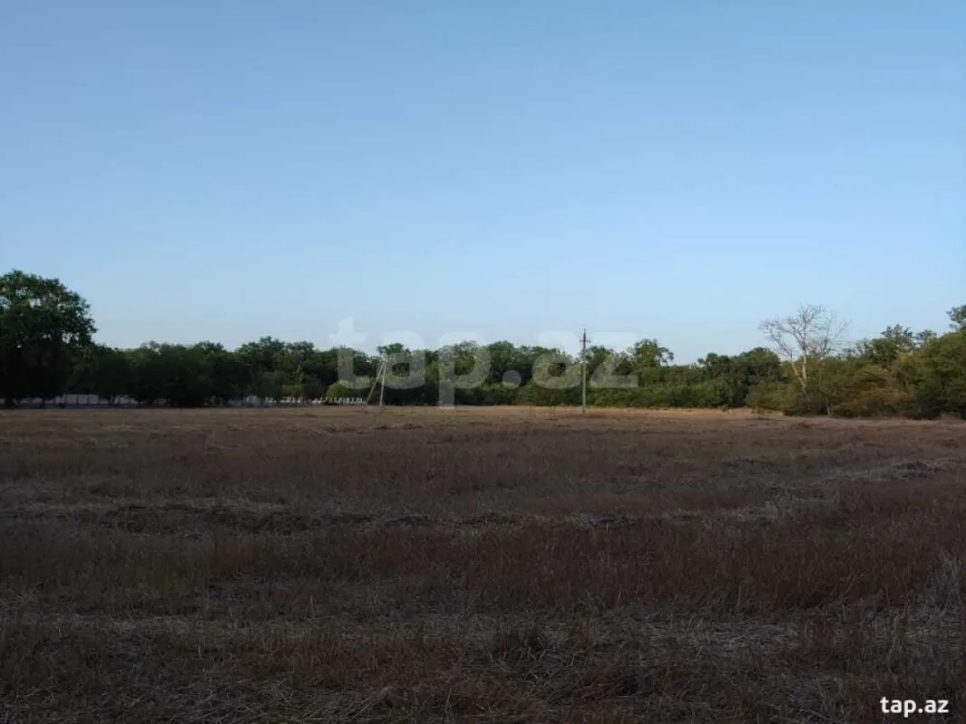 Satılır torpaq sahəsi