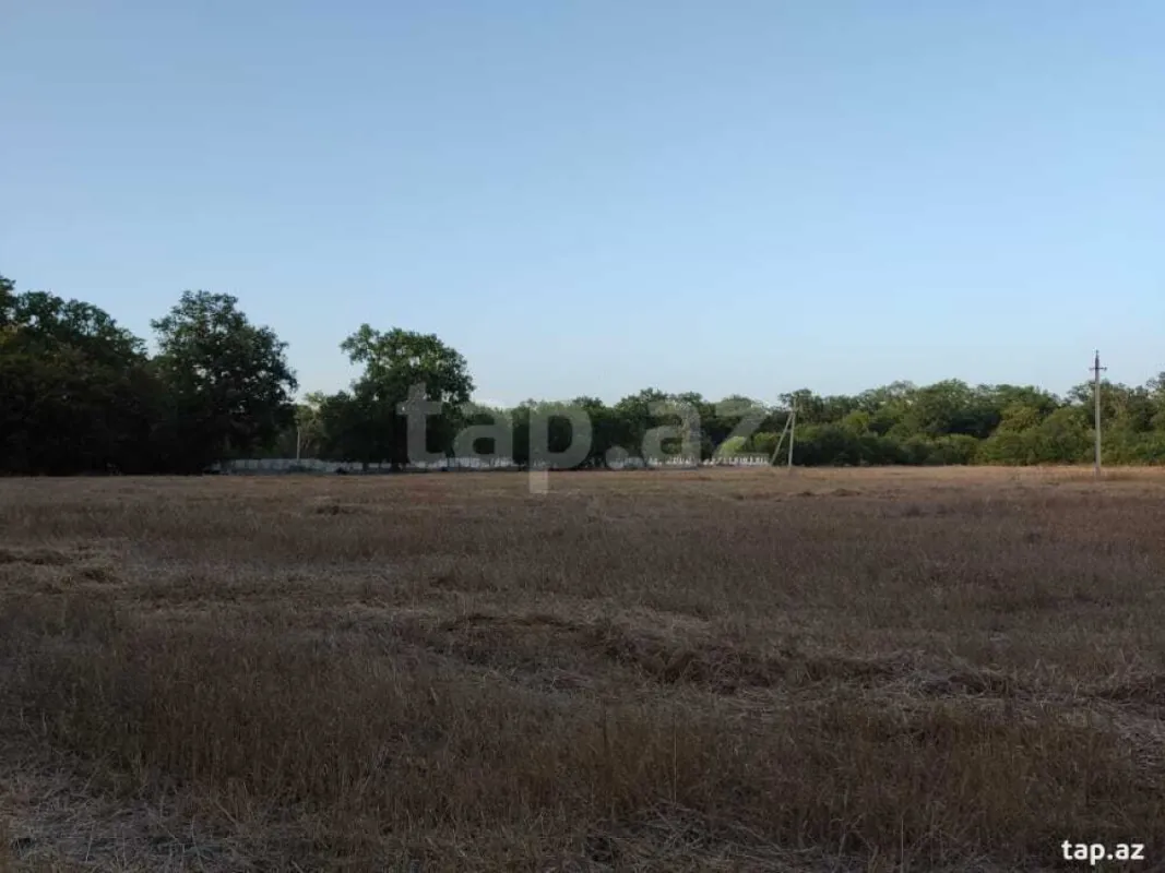 Satılır torpaq sahəsi